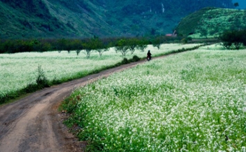 Những con đường